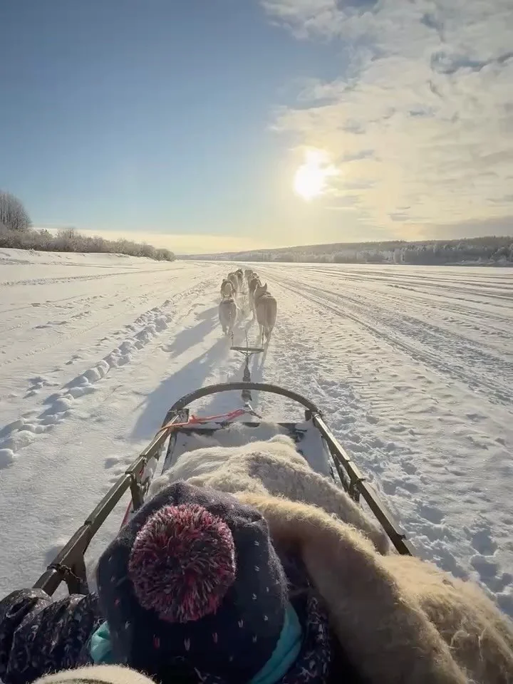 Probably the coolest thing we have ever done! This was in Lapland, Findland in February. 

@arcticwoodslife were incredible. Not sure our golden retriever Oslo could hang with these working dogs. 😂

#finland #sleddogs #winter #rovaniemi
