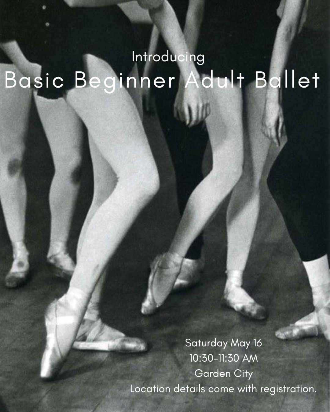 Basic Beginner Adult Class