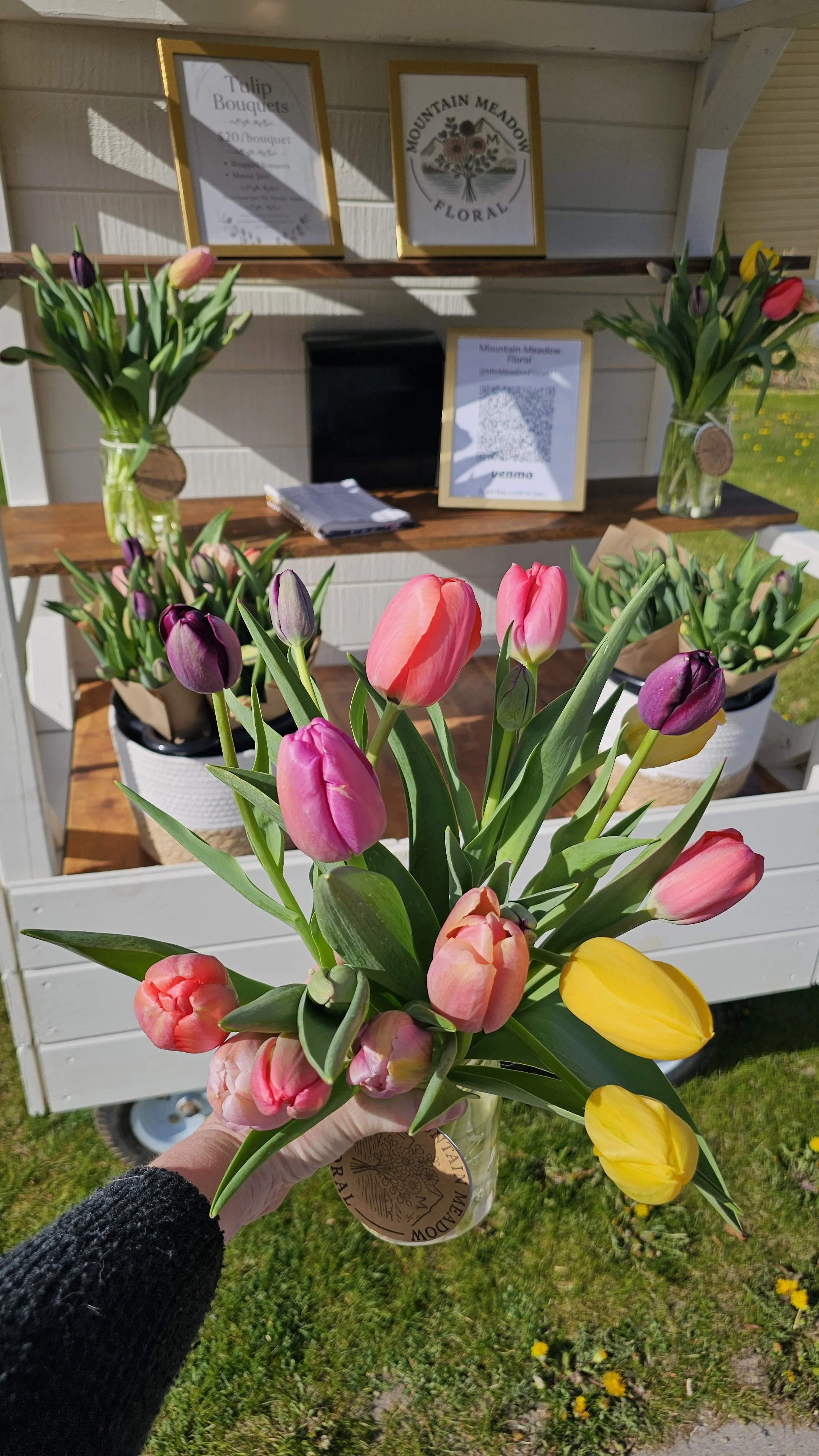 tulip - stand.jpg