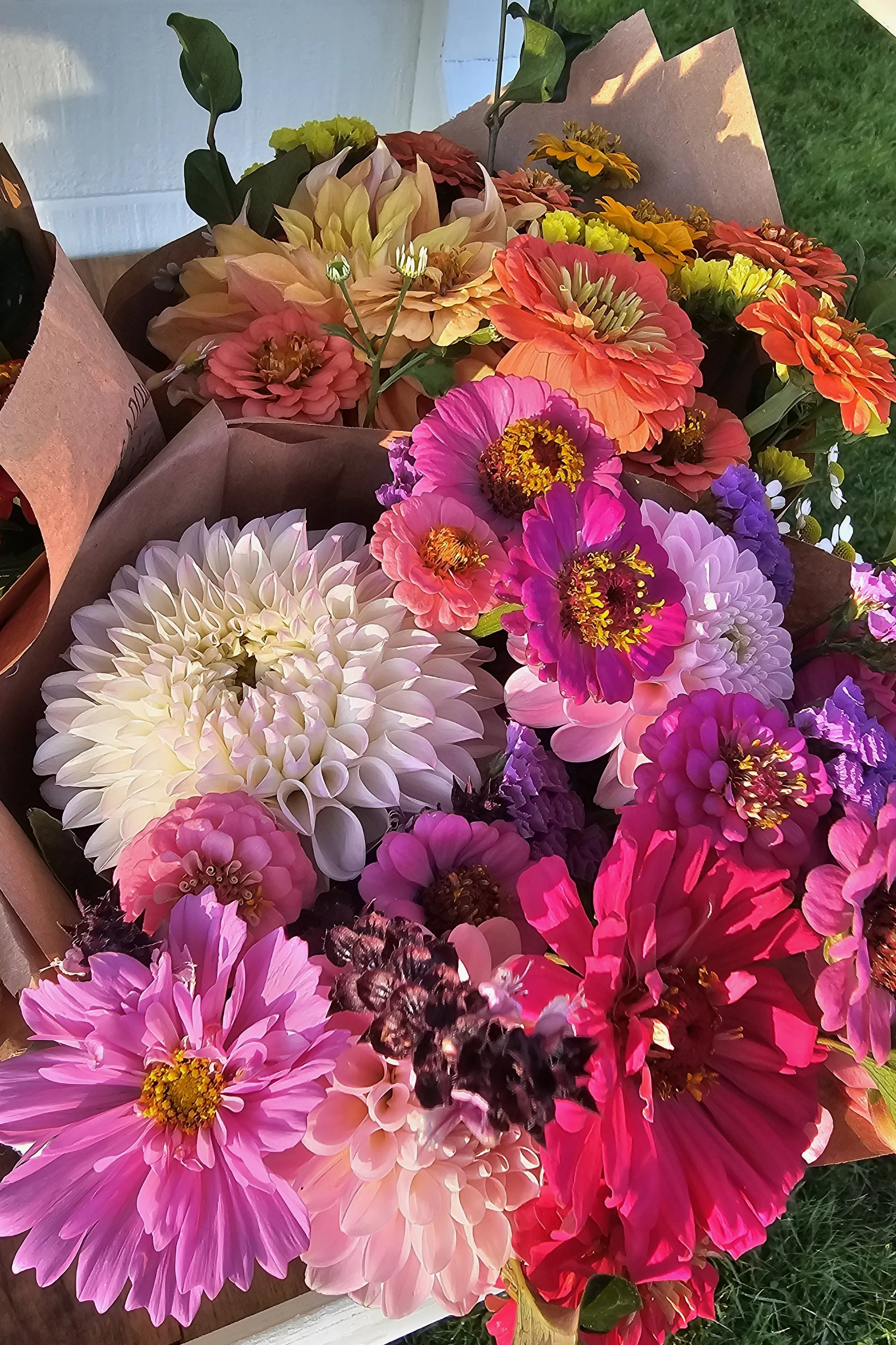 20250830_080645 (1).jpg