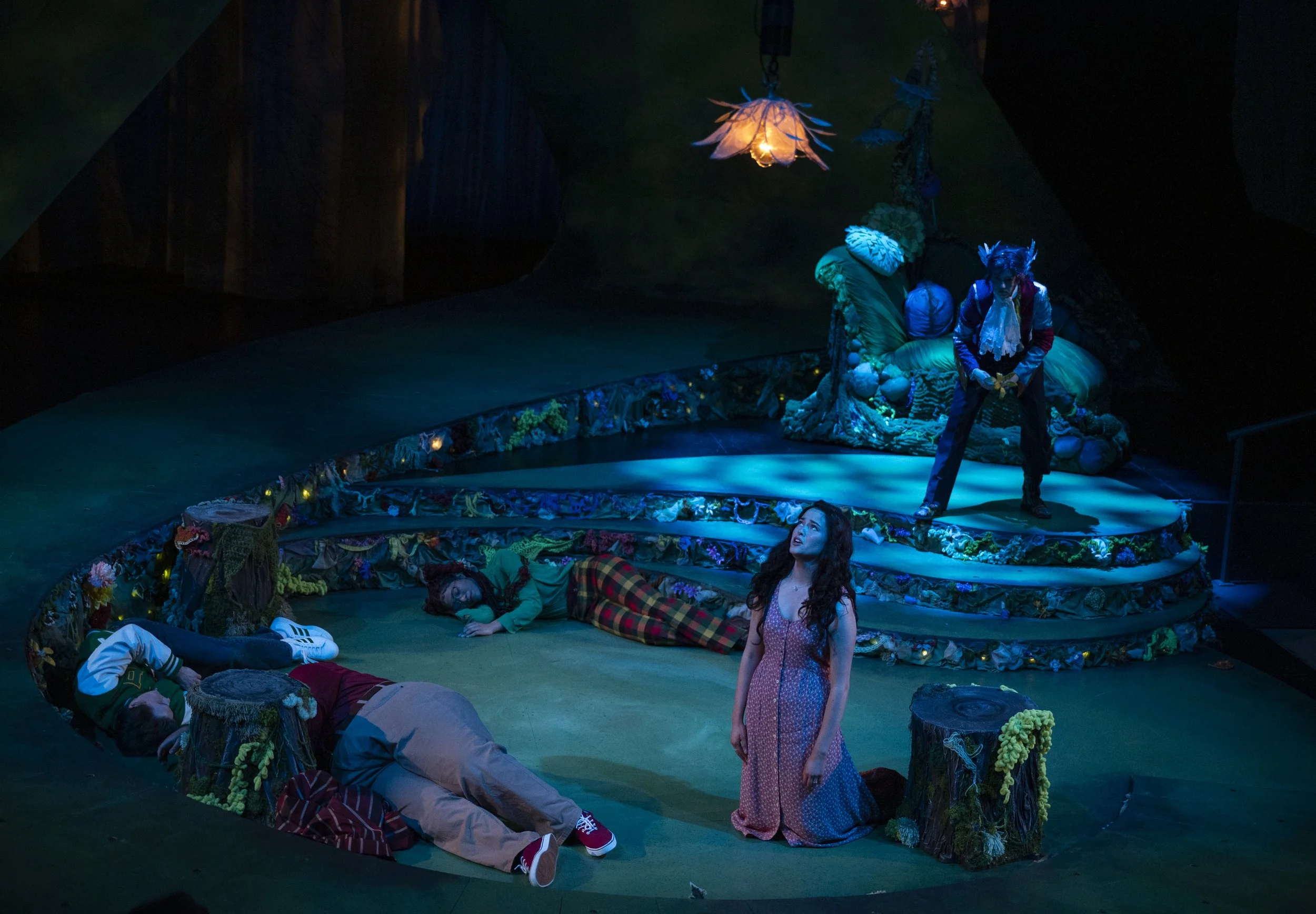 A Midsummer Nights Dream