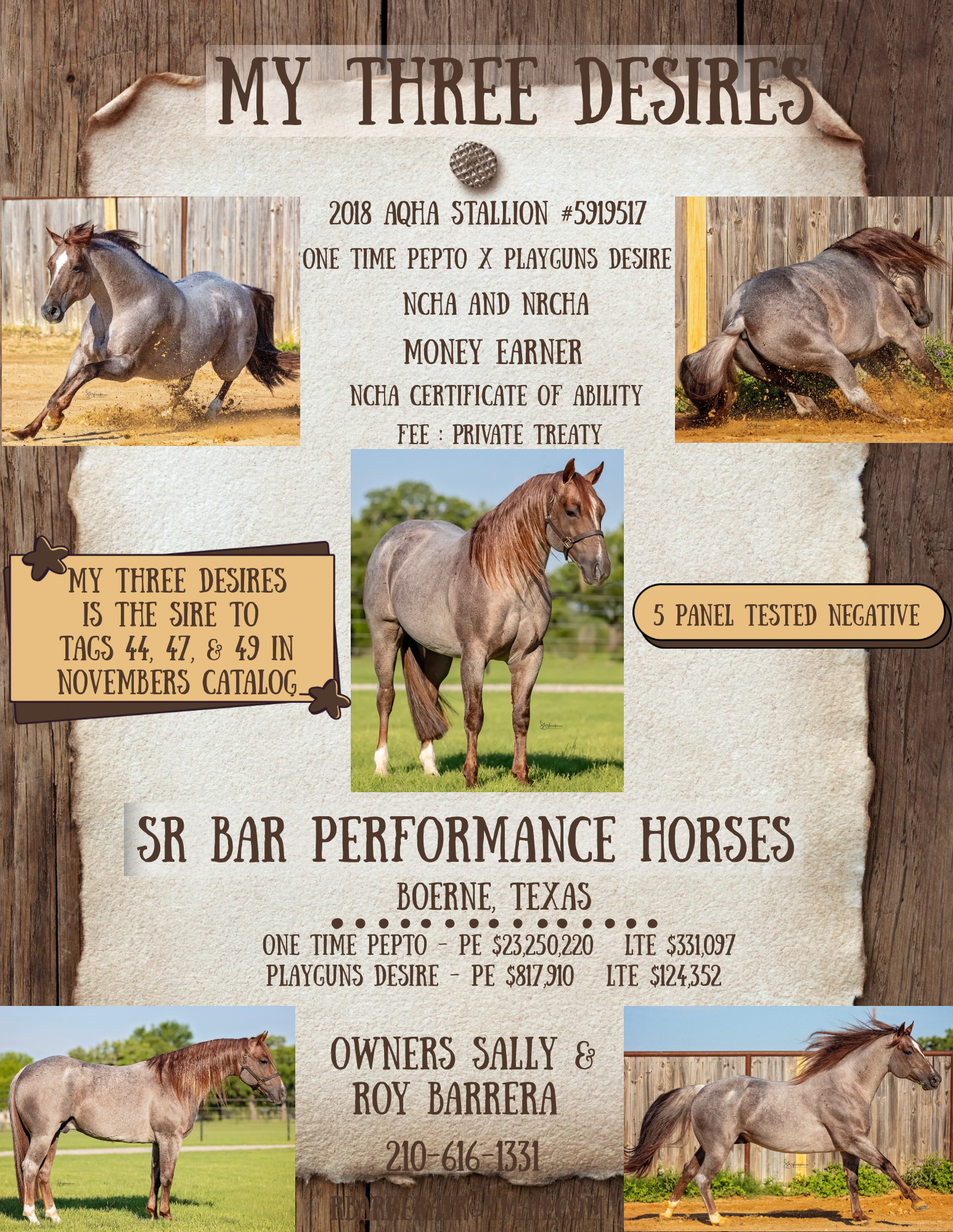A poster titled "My Three Desires" featuring images of horses and information about a 2018 AQHA stallion. Details include the horse's name, breeding, competition achievements, pedigree, and owner contact info. Tabaco. Cutting Horse Stallion.