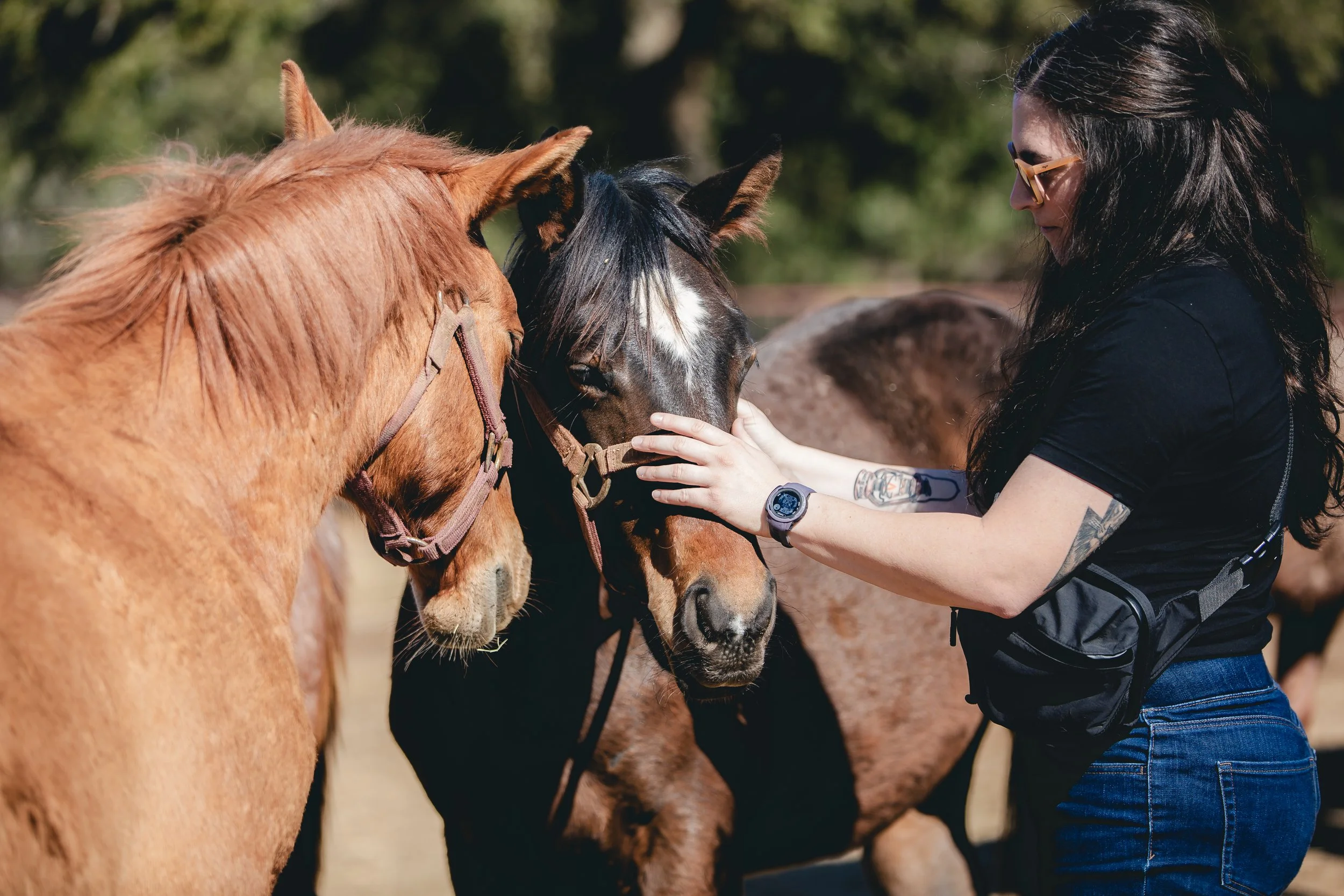A woman with long dark hair, glasses, and tattoos on her arm petting two horses outdoors, one brown and one black with white markings on its face. SR Bar Ranch Performance Horses Boerne Texas USA