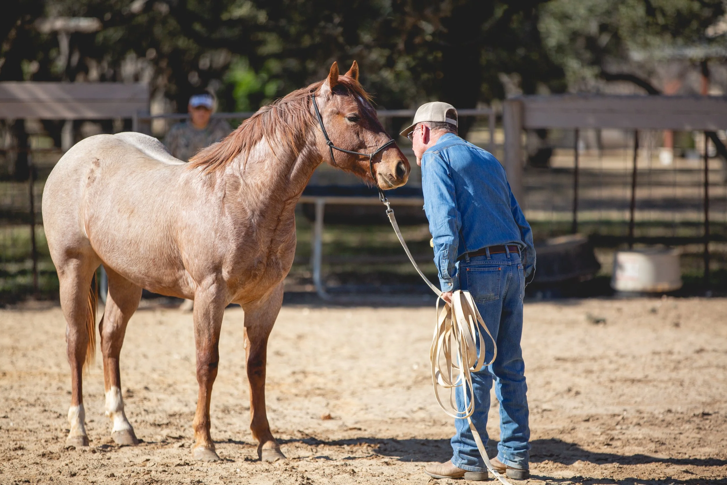 A man in a blue denim shirt and jeans holding a coiled lunge line, leaning forward to touch noses with a light brown and white horse in an outdoor paddock. SR Bar Ranch Performance Horses Boerne Texas USA