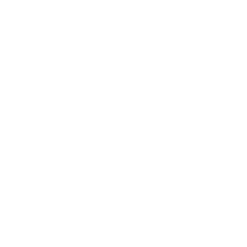 Placeholder icon of a camera inside a circle