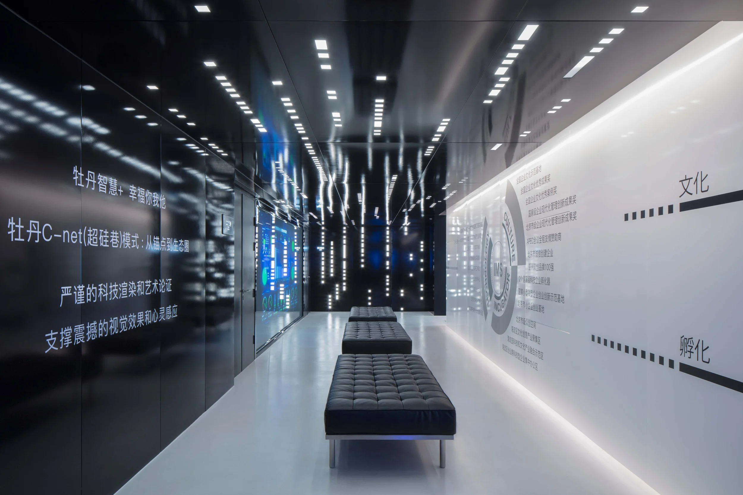 3B6A7311副本副本 - 副本.jpg