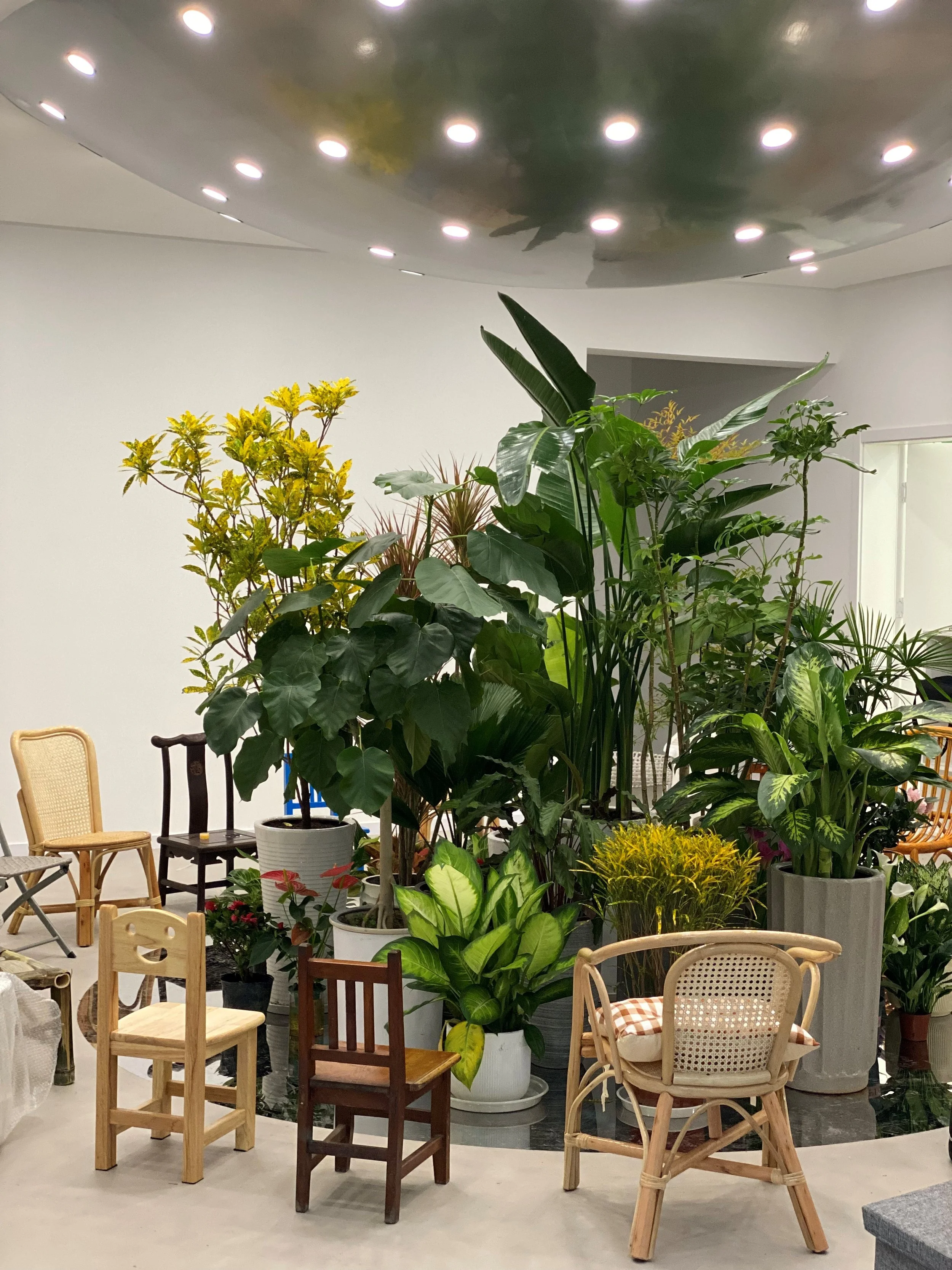 06Weixin Image_20250226162300.jpg