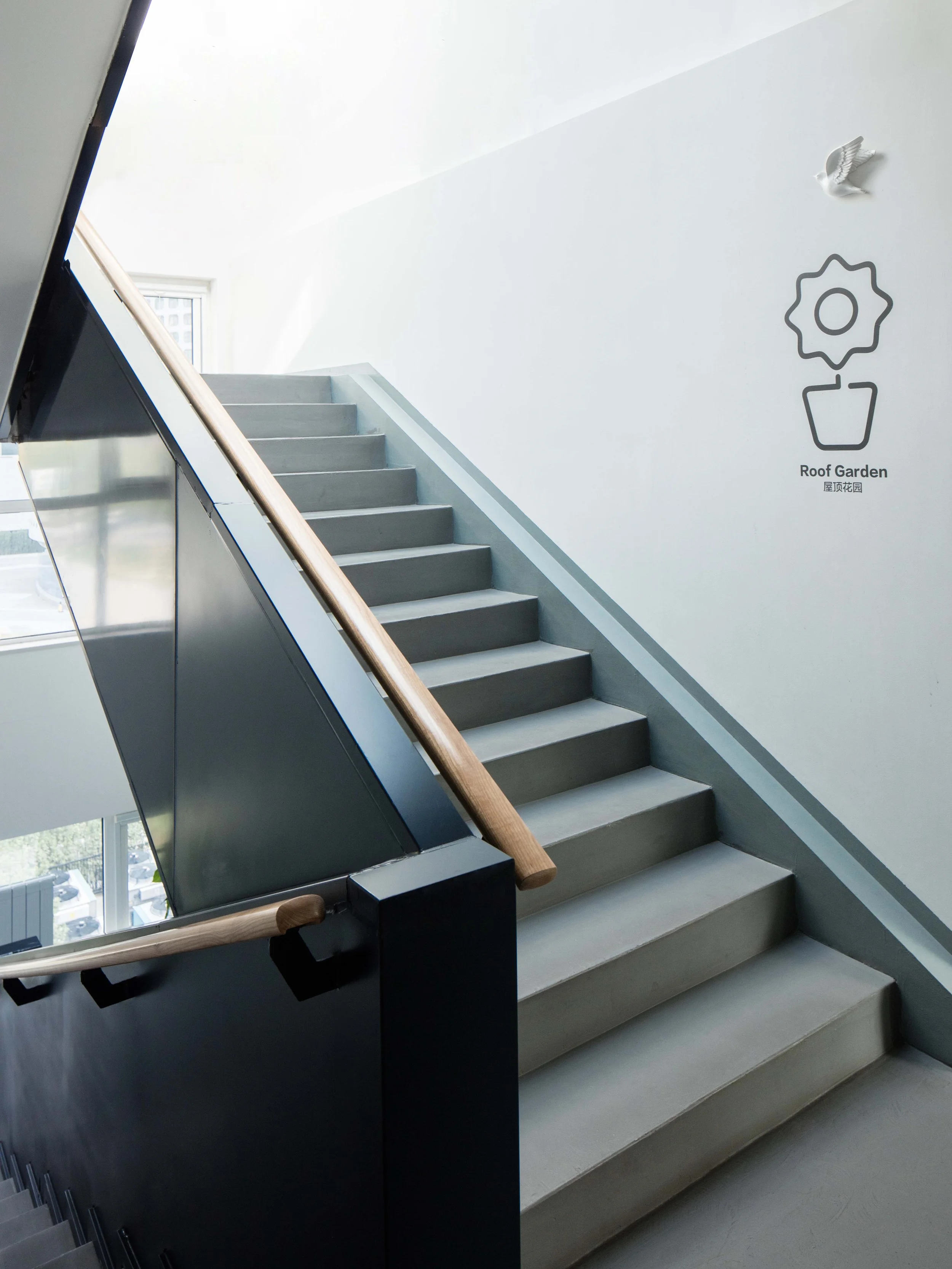 1A5A6731 - 副本.jpg