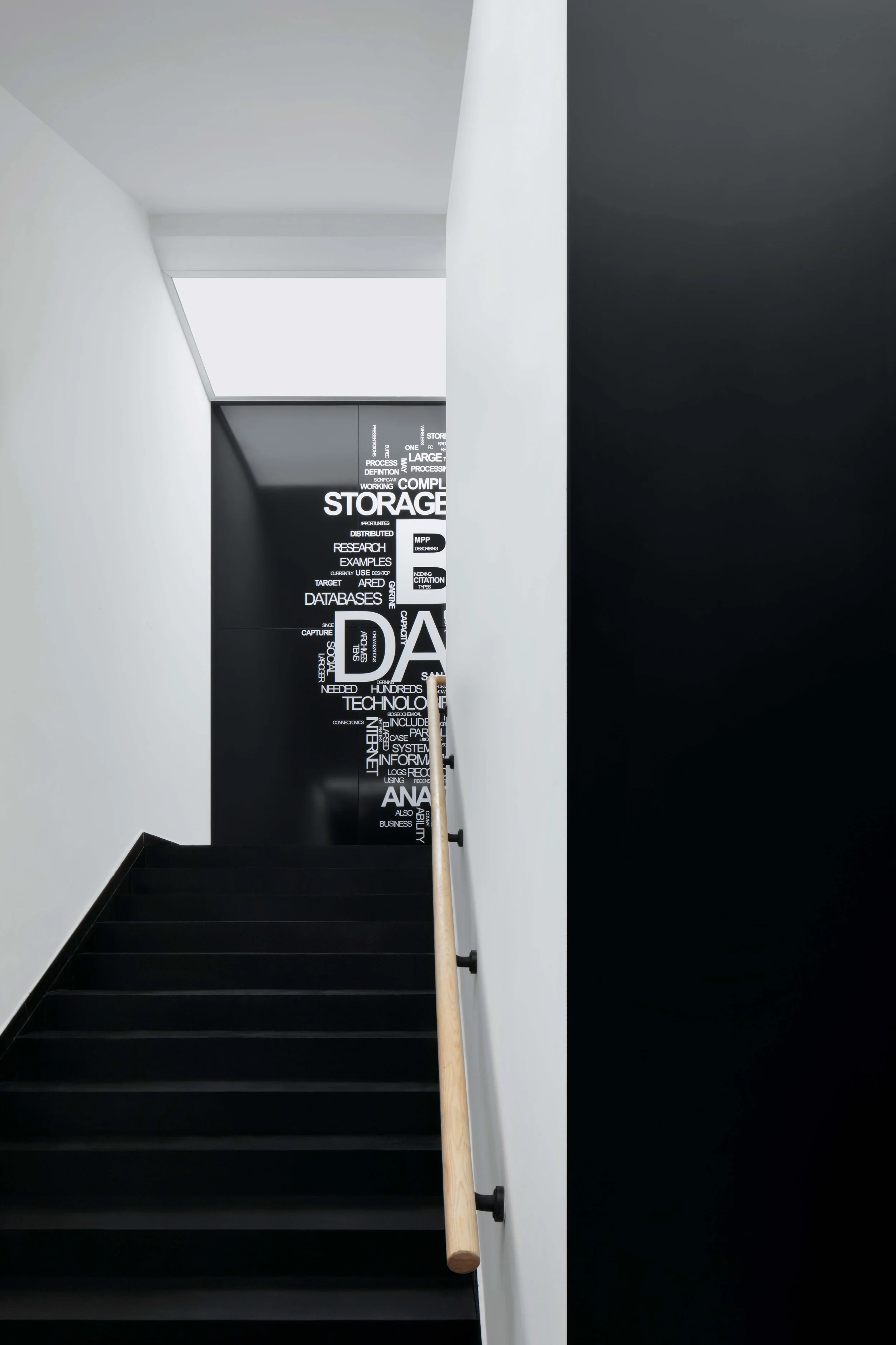 3B6A7345副本 - 副本.jpg