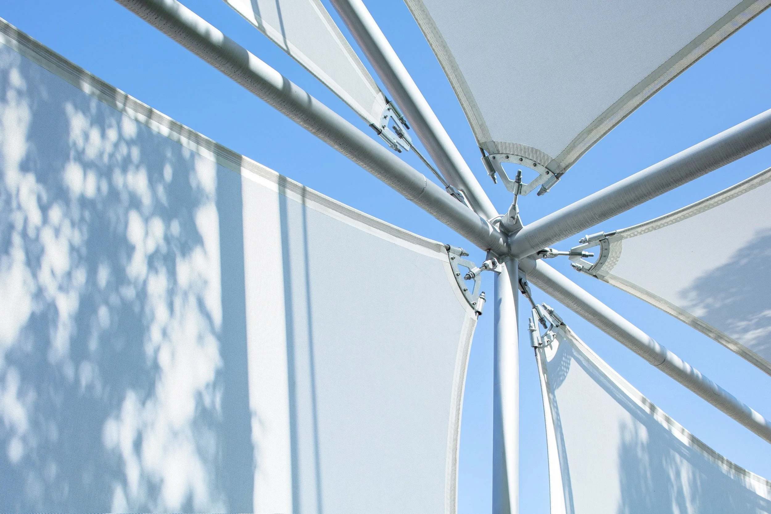 018D+ Membrane Day 3.jpg