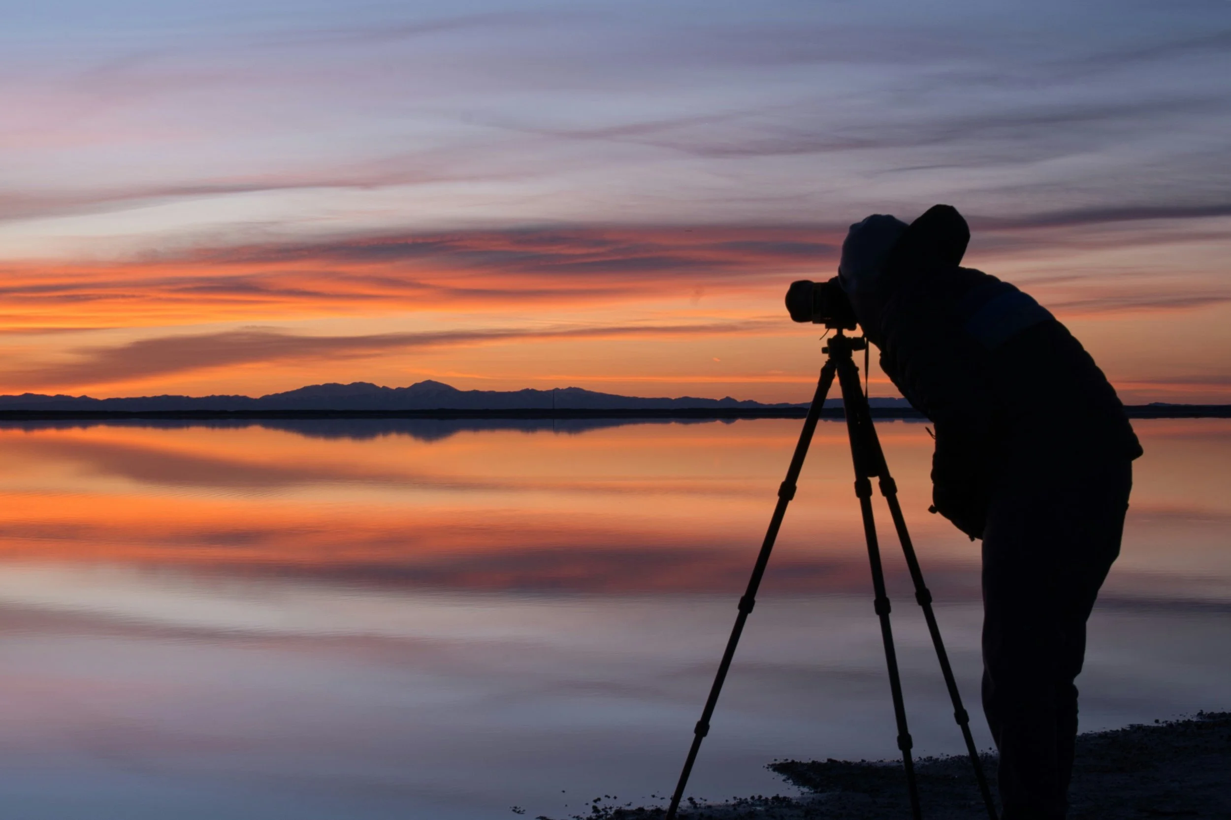 Photo by Valeriia Kryshchuk