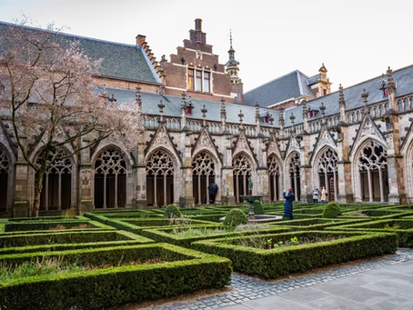 Review of current IT operating model delivering seamless operational