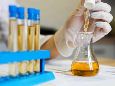 Automation of costing model freeing up key capacity