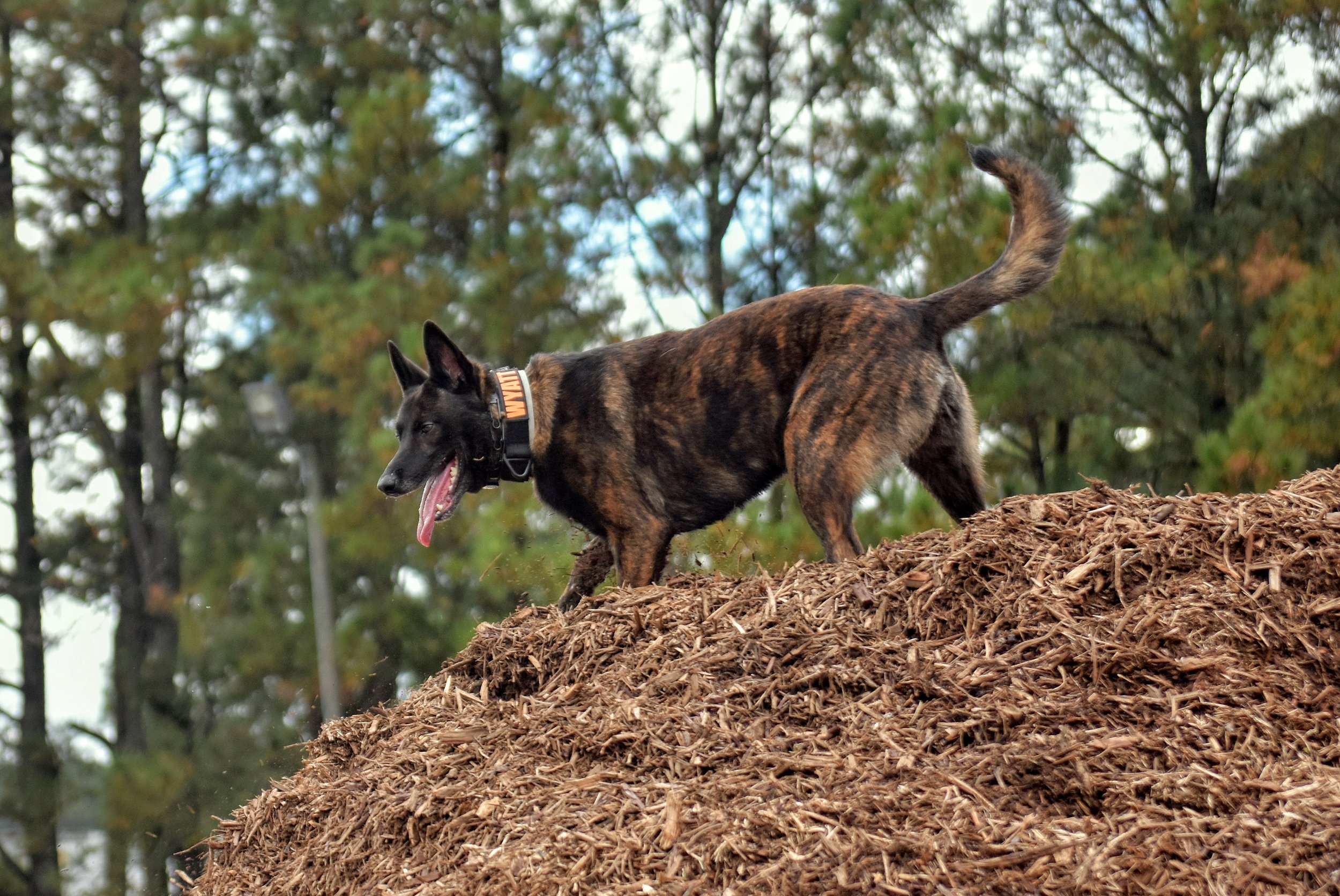 USAR HRD Problem-Solving 