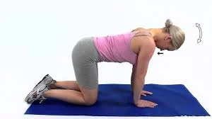 Deep cervical neck flexors1.jpg