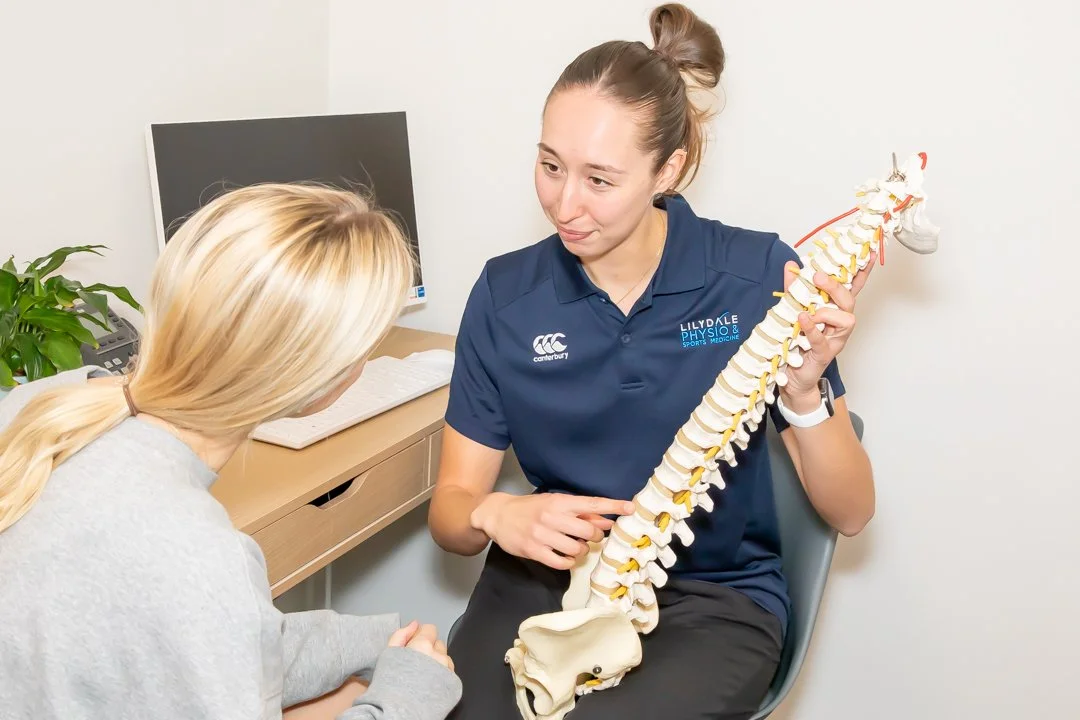 education spinal spine rehabilitation posture