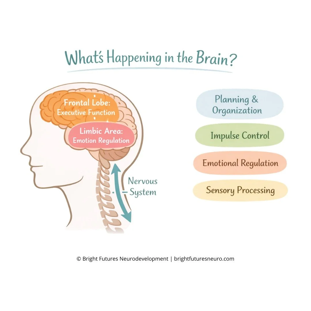 🧠 What&rsquo;s happening in your child&rsquo;s brain?

Sometimes what we see on the outside&hellip;

😣 Big emotions
🔄 Trouble with transitions
📋 Difficulty getting started
🎧 Sensory overwhelm

&hellip;is really about what&rsquo;s happening insid