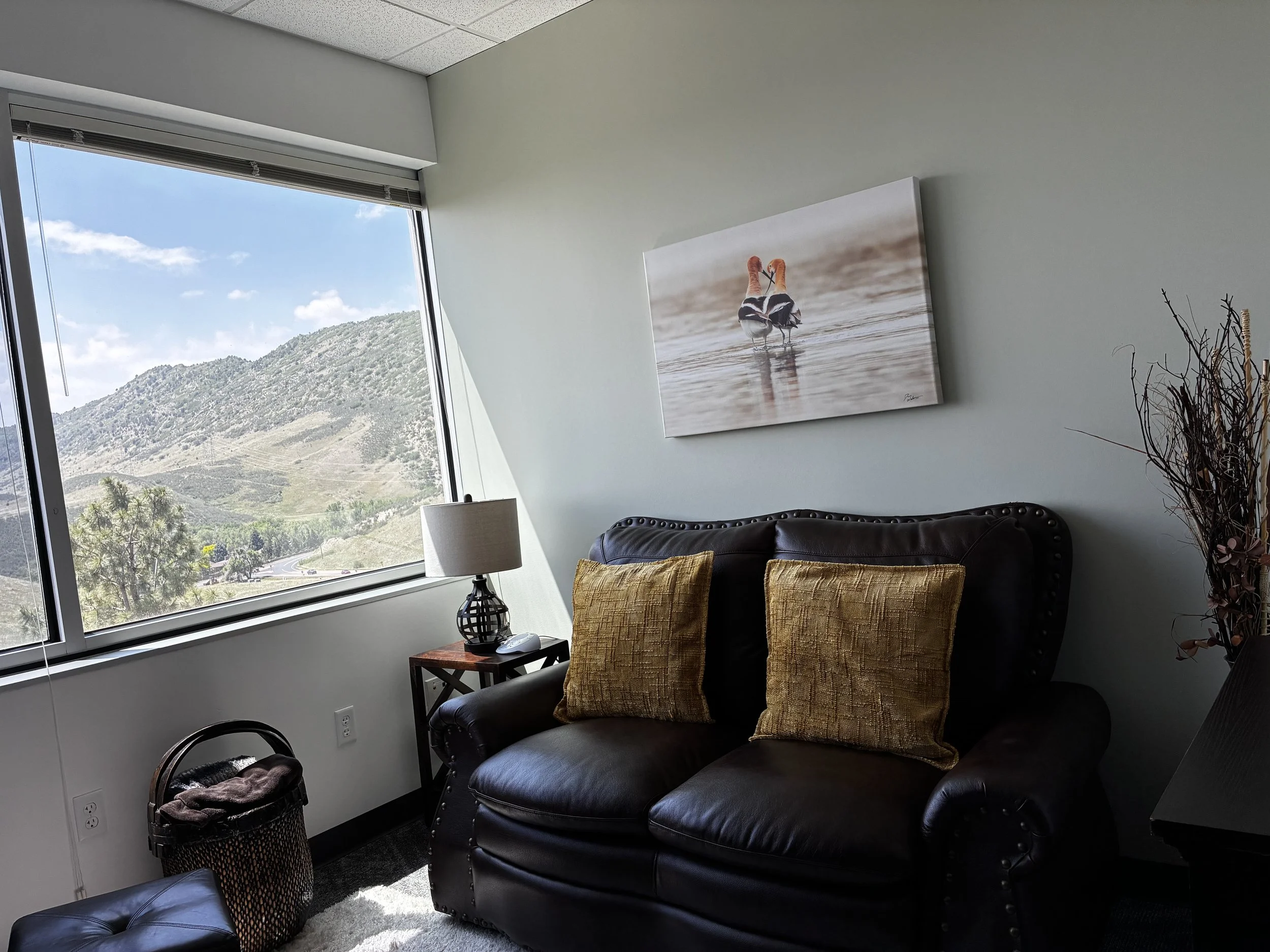 A warm and inviting counseling office designed to help individuals and couples feel safe, supported, and comfortable. Featuring natural light, calming décor, and peaceful views, this therapeutic environment encourages open conversations, emotional he