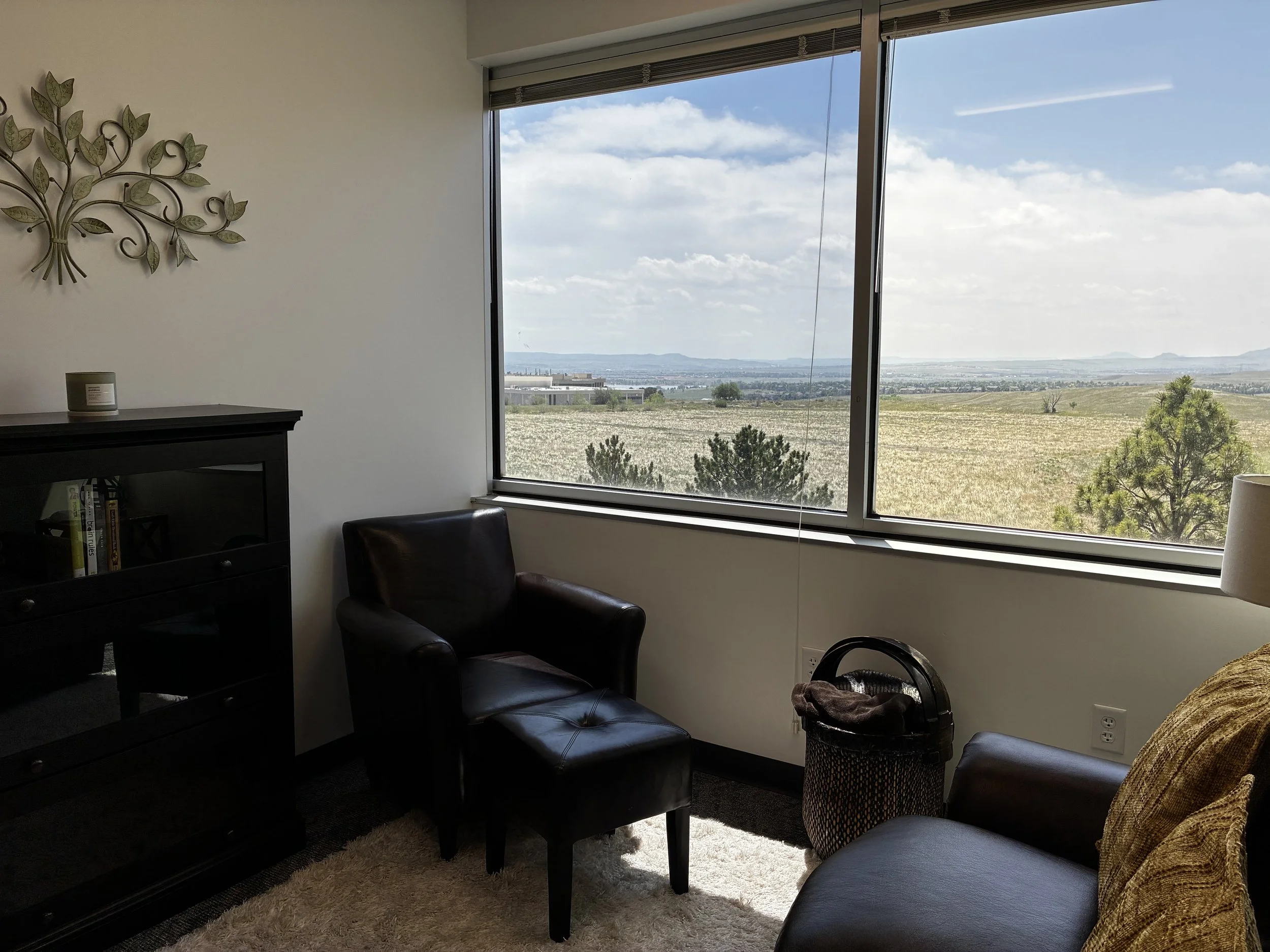 A thoughtfully designed therapy office that promotes relaxation, emotional safety, and healing. With comfortable seating, natural light, and tranquil views, this counseling environment helps clients feel at ease while exploring personal challenges, r