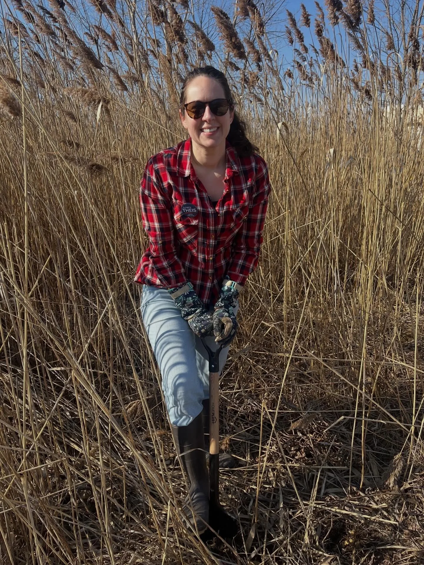 The kids and I volunteered with the PPMS Restoration Project this morning. We removed invasive phragmites. It will be a multiyear project to remove the phragmites and buckthorn and to return the Pilgrim Park Middle School property to a healthy habita
