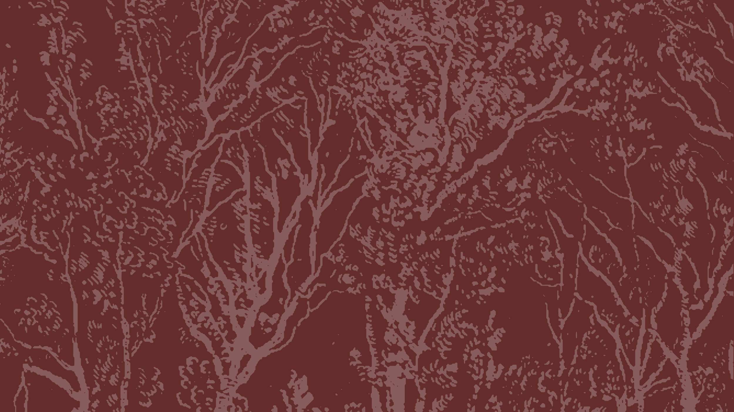 Illustration of tree branches with numerous smaller twigs on a brown background