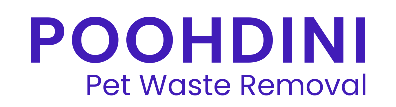 Poohdini | Now You See It... Now You Don't