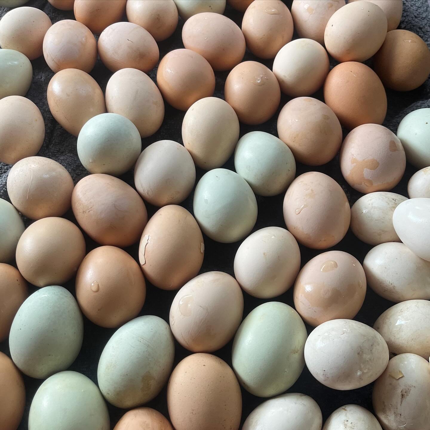 One reason we really don&rsquo;t want to give up right now is that we have been brewing up a nonprofit idea that we really hope to get off the ground someday: a network of people who farm, or farmed in the past, connected with people who don&rsquo;t 