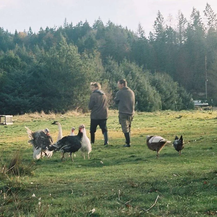 I&rsquo;m not secretive about it, but I&rsquo;ll say it again now: we are transgender farmers. 
I get nervous about how loud or quiet I should be about that. We rushed to move from our last residence because we were harassed by a transphobic neighbor
