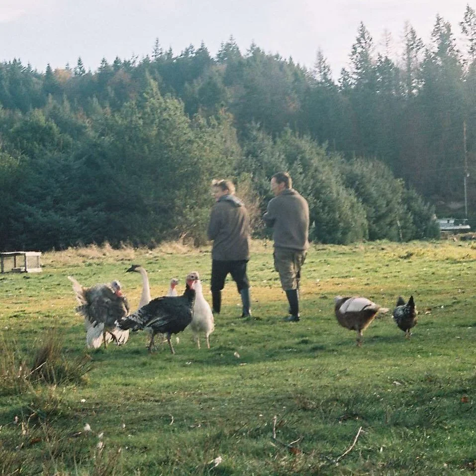 The onset of 2026 also marks six years of the life partnership that has kept me going through this perilous life. Onward to better days for all of us, even if it&rsquo;s onward through broken glass and hot coals. 🎊