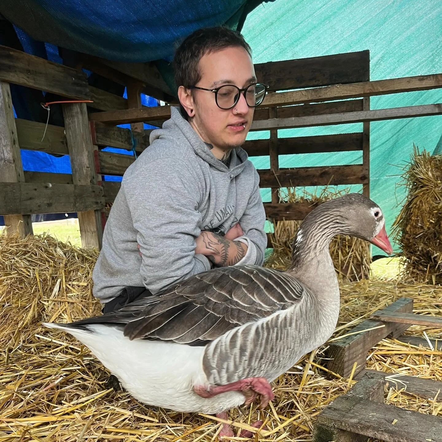 One of the pinnacles of our work as farmers is a commitment to animal welfare. Like children, animals don&rsquo;t choose the situations they end up in. They have very little agency in their lives, and it&rsquo;s the duty of their caretakers to advoca