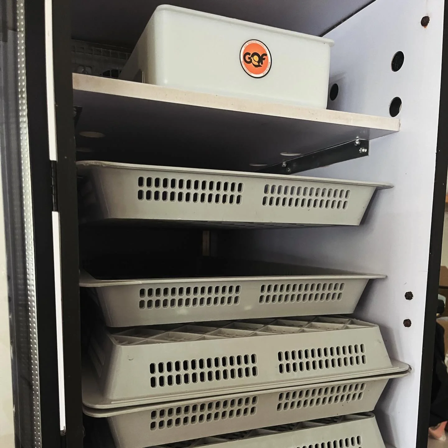 We made quite the investment earlier this year: a GQF cabinet incubator and hatcher set. We are super fortunate to have found a very sweet farmer locally selling them for a deal, because they aren&rsquo;t cheap! The incubator can hold several hundred