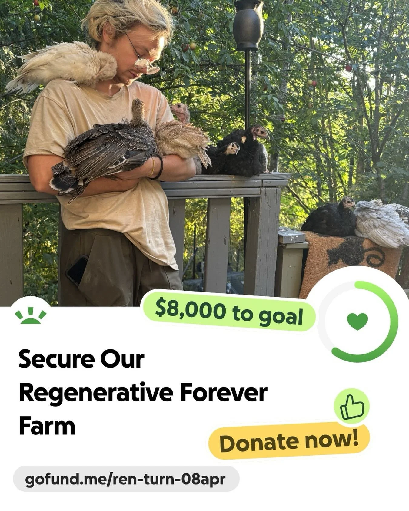 Hi yall, I was hoping to avoid public fundraising, but the grants we were banking on didn&rsquo;t come through, so we gotta ask for help. We have our amazing potential forever farm waiting for us, but we need the funds to fence it out and build secur