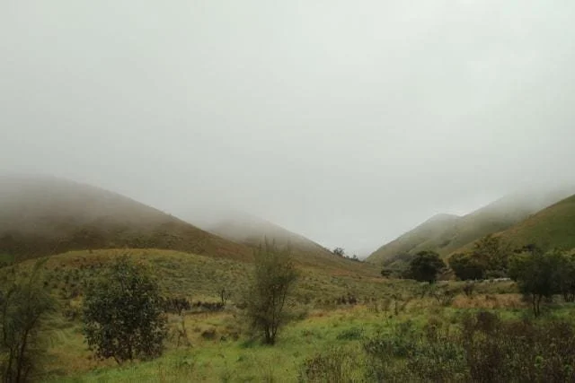 A grey mist rolling over green hills