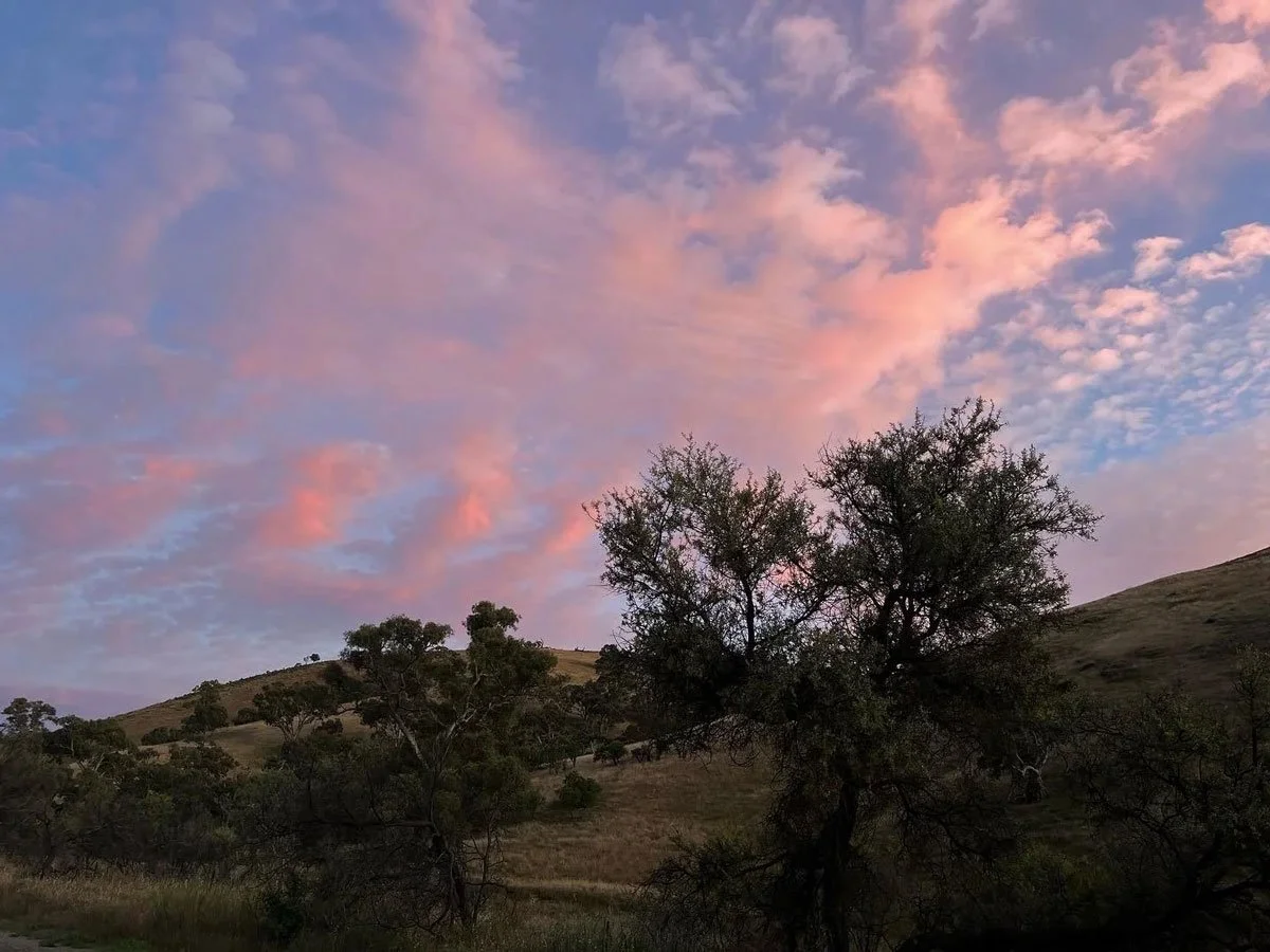 Think Yourself Happy