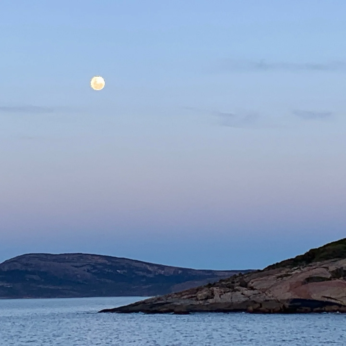 Turn off the news for today, lie in the sun, take some deep breathes and think of five things you are grateful for. #grateful #turnoffthenews #cureforanxiety #lovelife