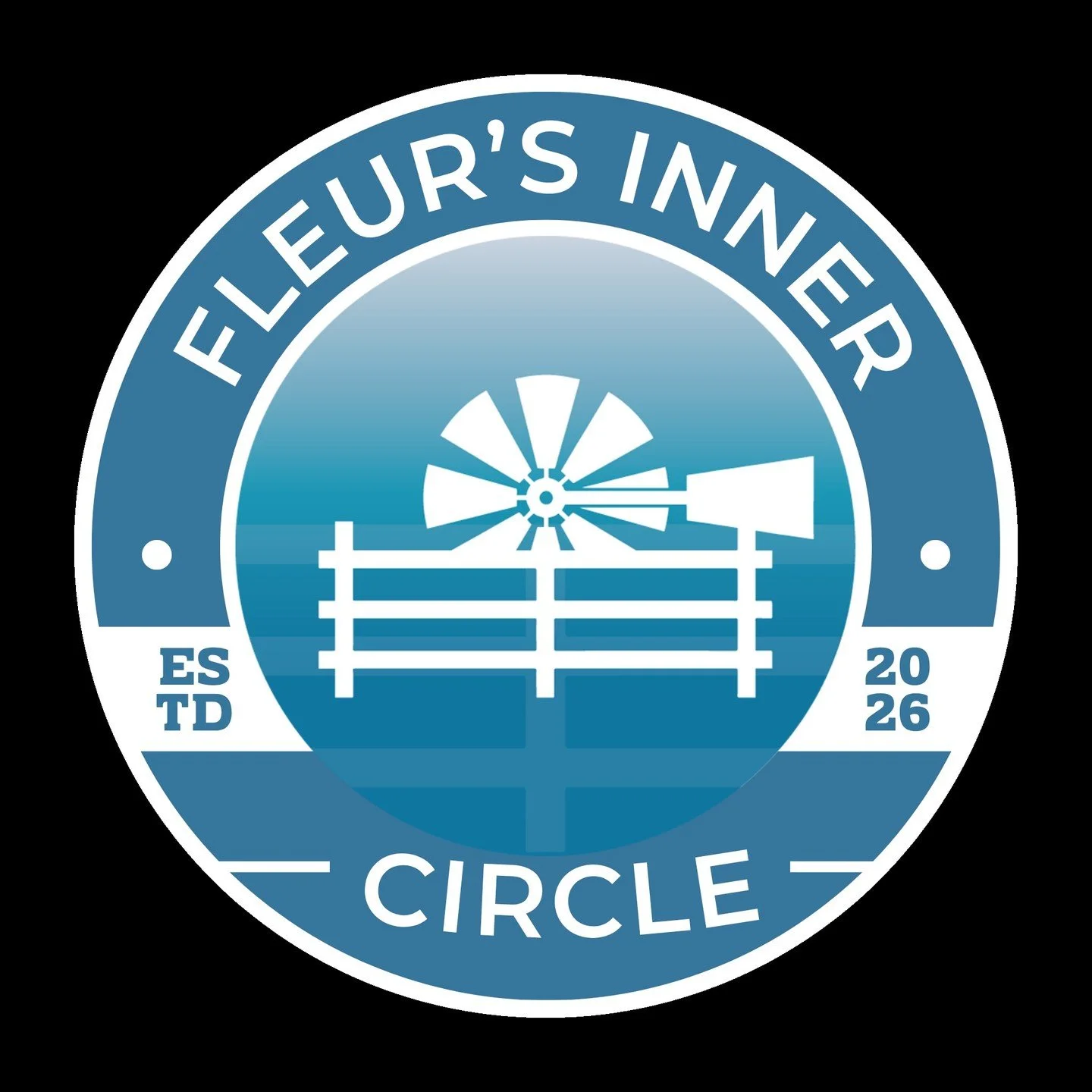 OMG I AM SO EXCITED! I've been working on this (well actually, not me, Kelly at Looking Glass Creative - Squarespace Website Designer because she's got the skills! I've just been hanging on her coat tails!) for a while. (THE LINK IS IN MY STORIES) I'