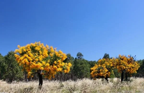 Kindness is our greatest gift