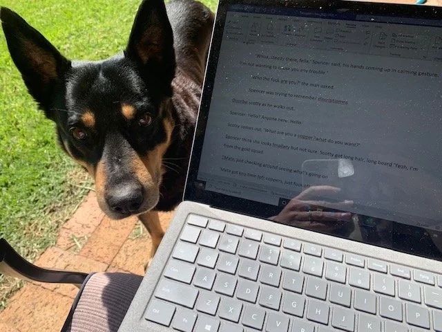 What it takes to write a book