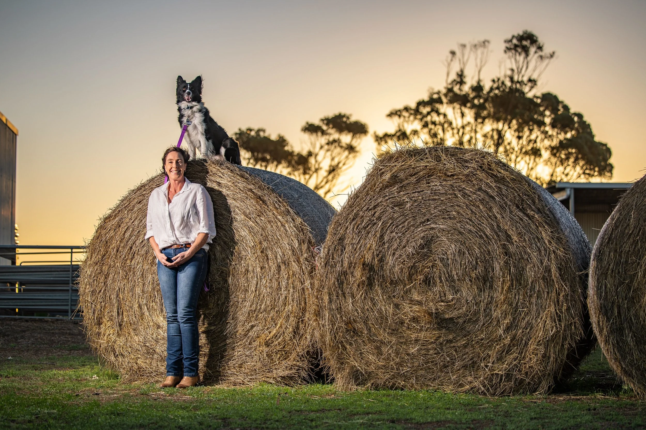 Shadow and I are going on a road trip this weekend. Here&rsquo;s some hints&hellip; red dirt, outback WA, gold. Any guesses where? 🤔 #adventure #adventuredog #outbackaustralia