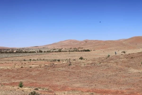 Drought-in-the-mid-north.jpg