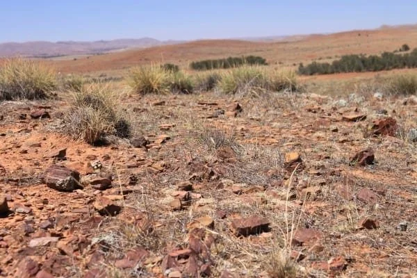 What does the word 'drought' mean to you?