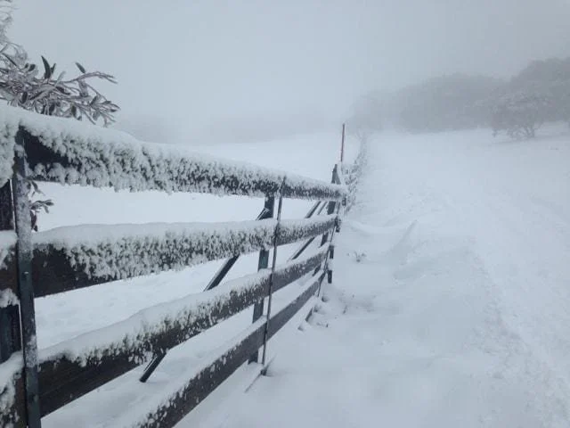 yearinreview15 - snow fence.jpg