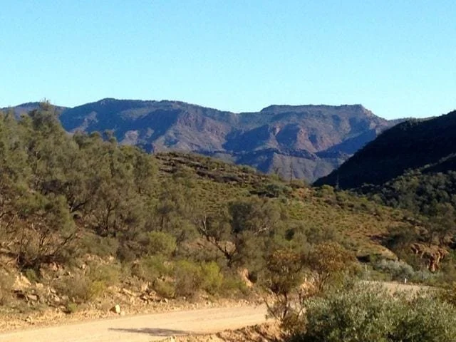yearinreview16 - mountains.jpg