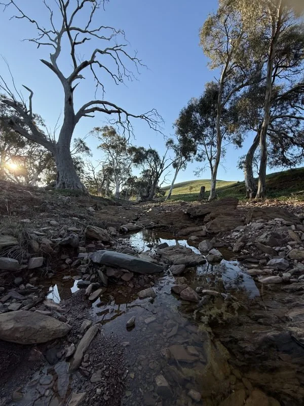 Detective Dave Burrows Country