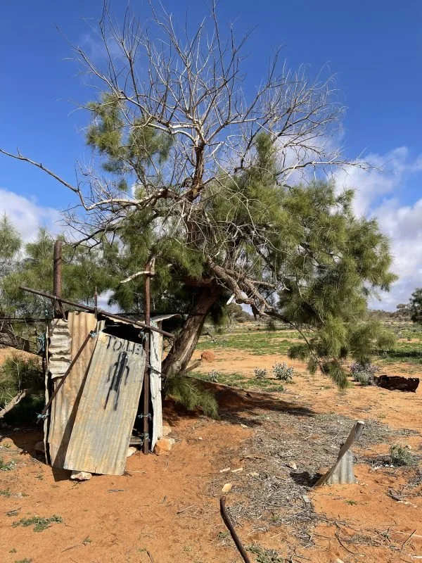 A very wonky looking shack build from corrugated iron. The door is on crooked and on the front has been spray painted the word: TOILET.