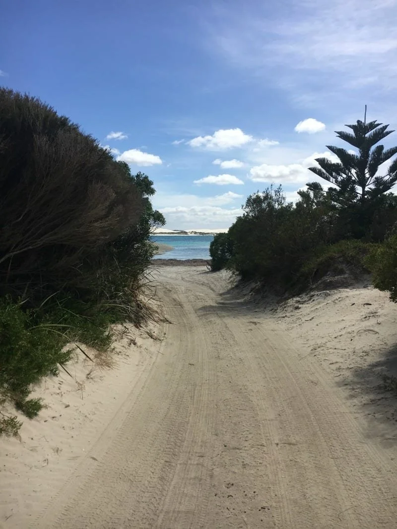 A beach walkway. A sand path leading to the ocean