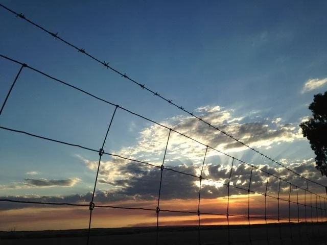 A sunset through a wire fence