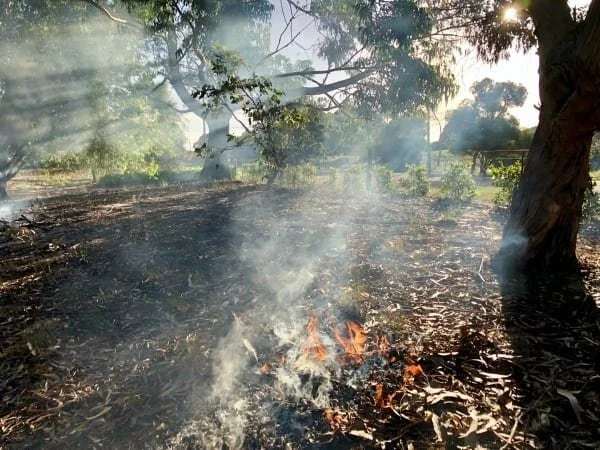Leaves on the ground on fire