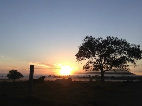 The sun sets on a farm