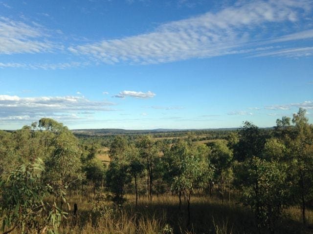 A blue sky and scenic bush